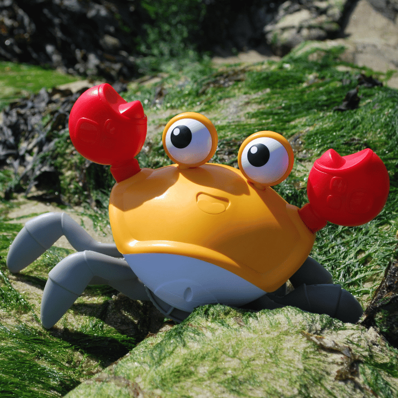 KrabDanser™