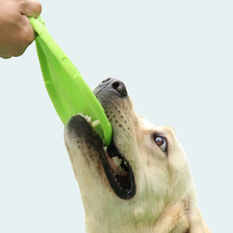 PawFlight - De Ultieme Hondenfrisbee